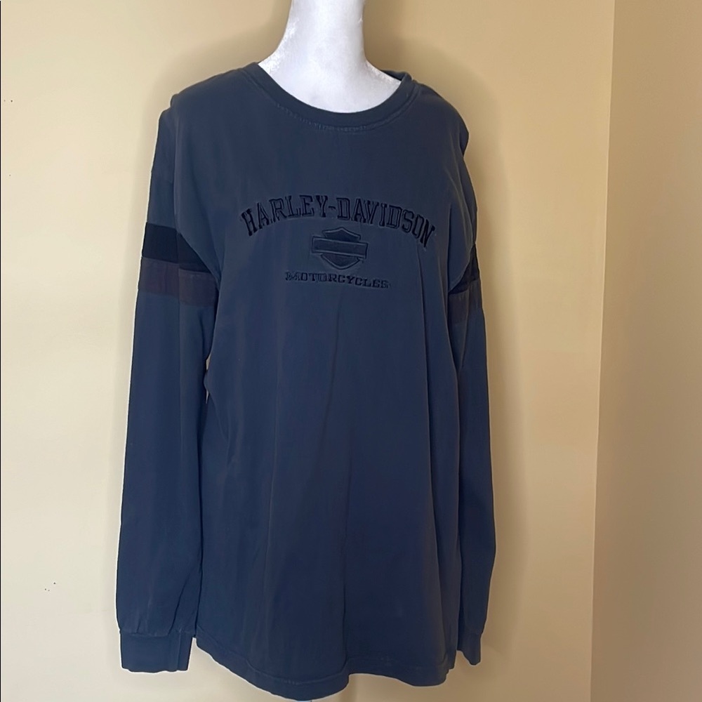 Harley-Davidson Gray and Blue Long Sleeve Tee